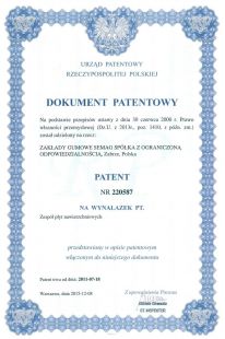Dokument Patentowy -  Zespół Płyt Nawierzchniowych